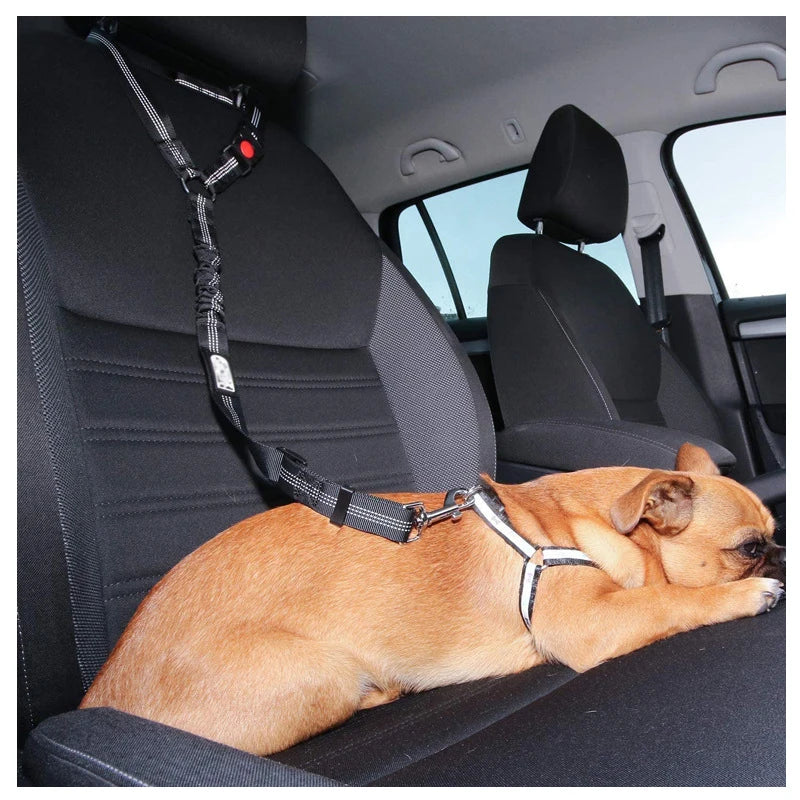 Solid Two-in-one Dog Harness Leash || Car Seat Belt for dogs